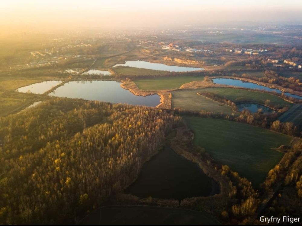Stanowisko Piekar Śląskich w sprawie Żabich Dołów