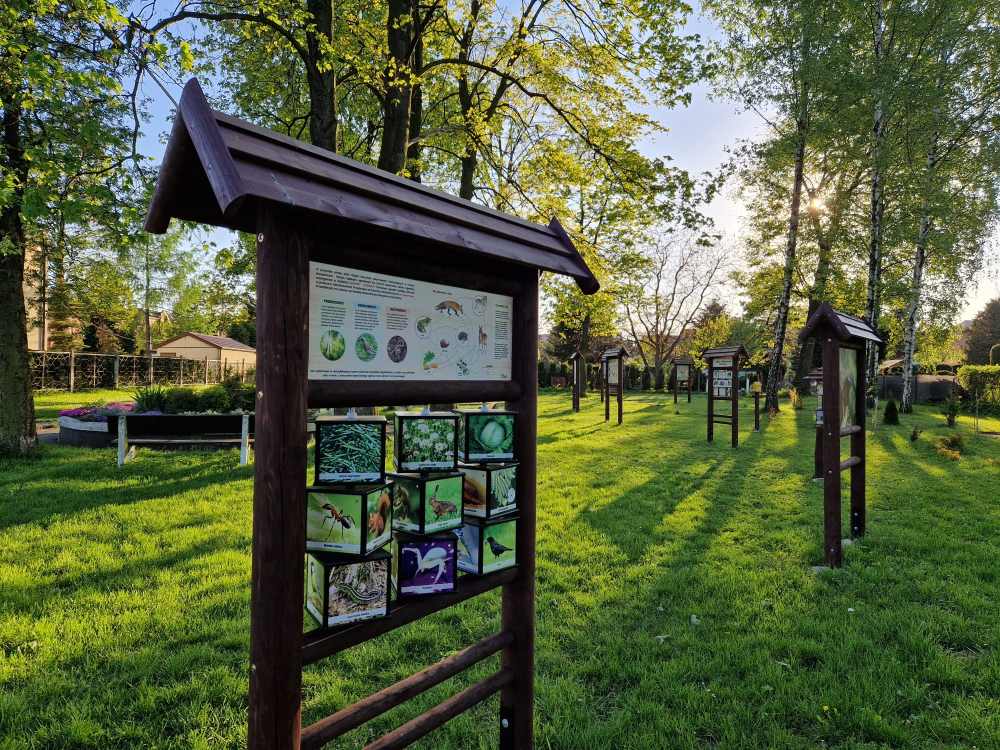 Piekarski ROD "Róża" zrealizował projekt z dotacji unijnych