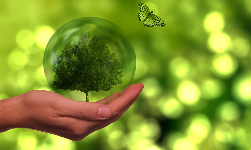 Dzień Bez Śmiecenia w Rybniku. Promocja proekologicznych postaw