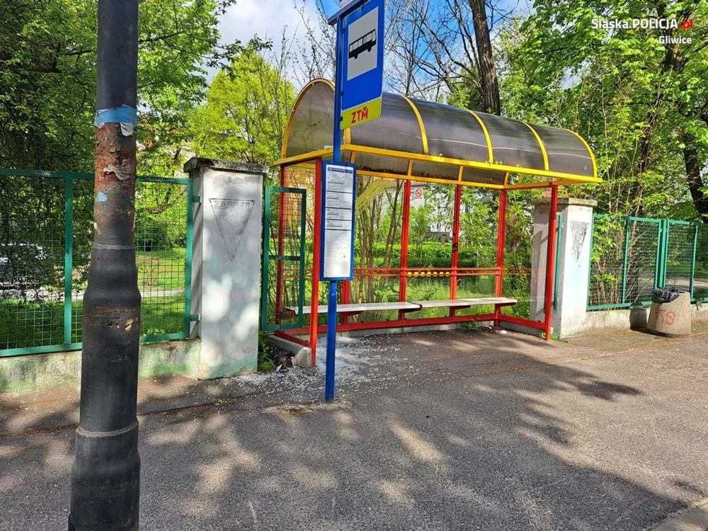 Wandal wiaty przystankowej w Gliwicach zatrzymany. Sprawcą jest 19-latek