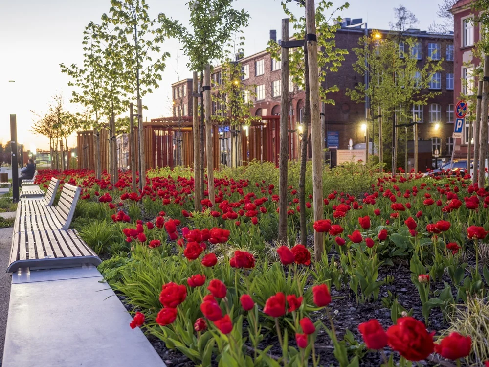 #ZieloneGliwice: Jest kolorowo i pięknie!