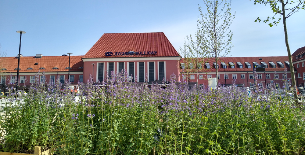 Kolejne nasadzenia w Gliwicach. Co tym razem urośnie?