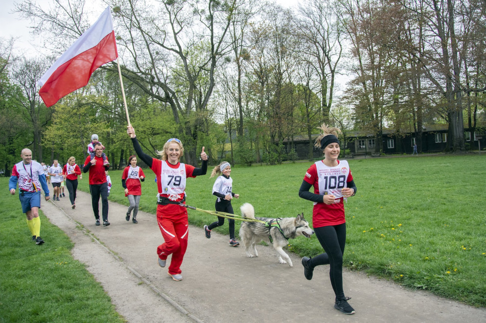 obchody 3 maja bytom 47