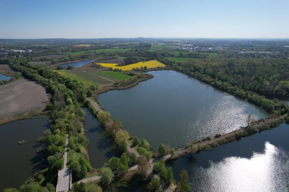 Bytom: Nie dla niszczenia Żabich Dołów