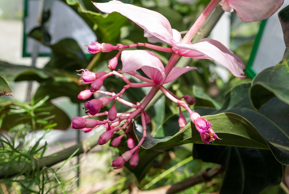 Bytom: Arboretum otwarte dla uczniów i przedszkolaków