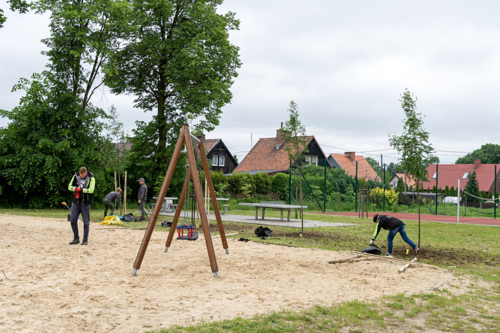 Władze Bytomia nasadzą 76 nowych drzew w mieście. Termin? Do końca maja