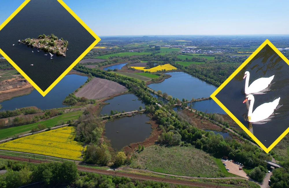 Wielkie porządki w Żabich Dołach. Dołącz!