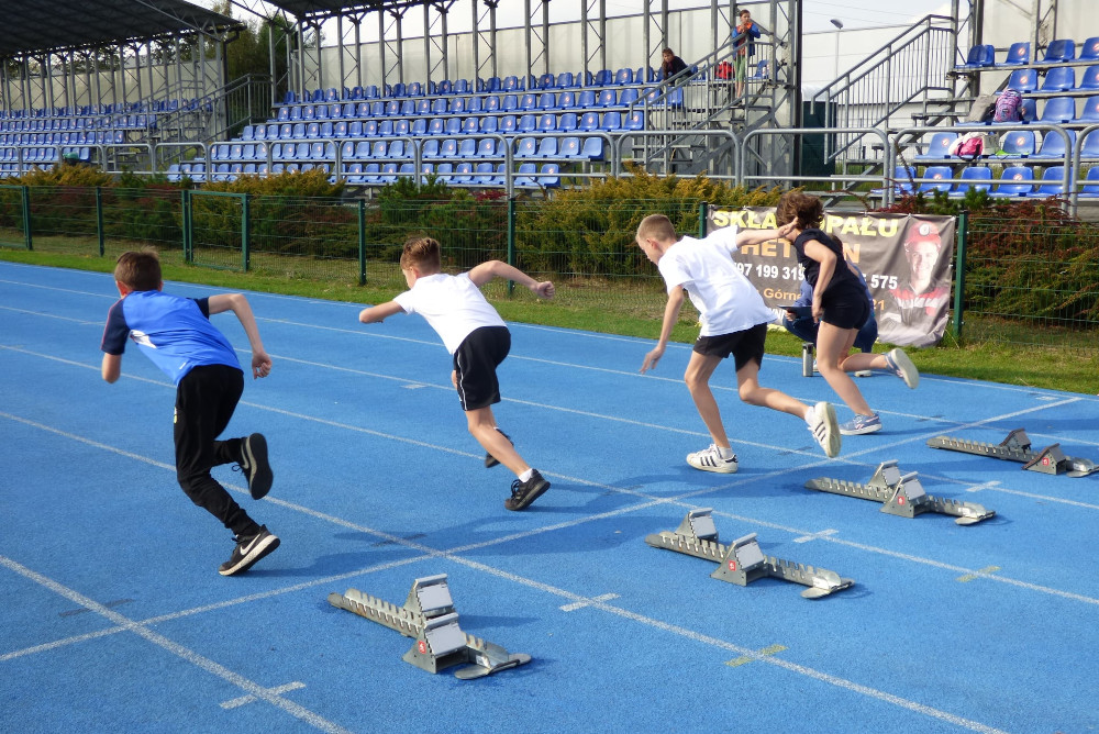 Mikołów: Rekordowe dofinansowania dla mikołowskich klubów w wysokości 175 tys. zł