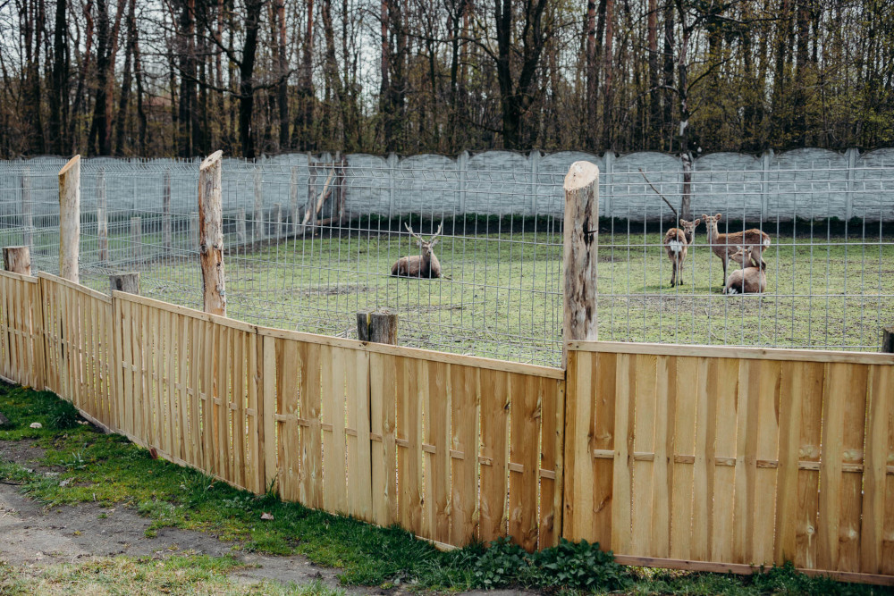 Mikołów: Leśne Pogotowie potrzebuje pomocy. Trwa zbiórka na modernizację ośrodka