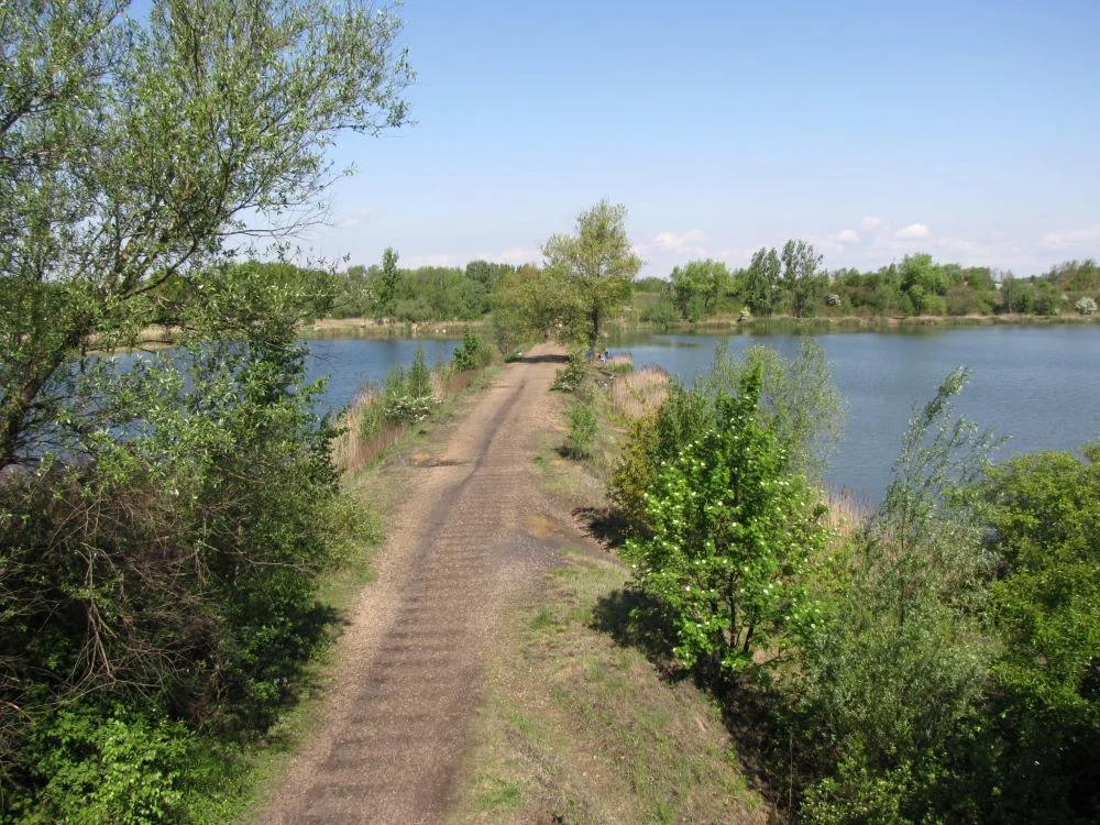 Walka o Żabie Doły trwa. Mieszkańcy organizują demonstrację