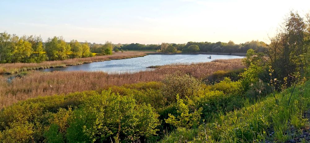 Już jutro cichy marsz w obronie Żabich Dołów. Tymczasem prezydent ogłasza przełom!