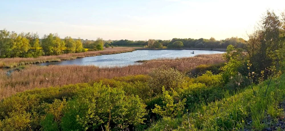 Już jutro cichy marsz w obronie Żabich Dołów. Tymczasem prezydent ogłasza przełom!