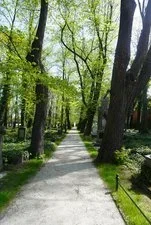Ulica Klimka już gotowa! Można już podziwiać odmienioną część Starówki / fot. UM Żory 3