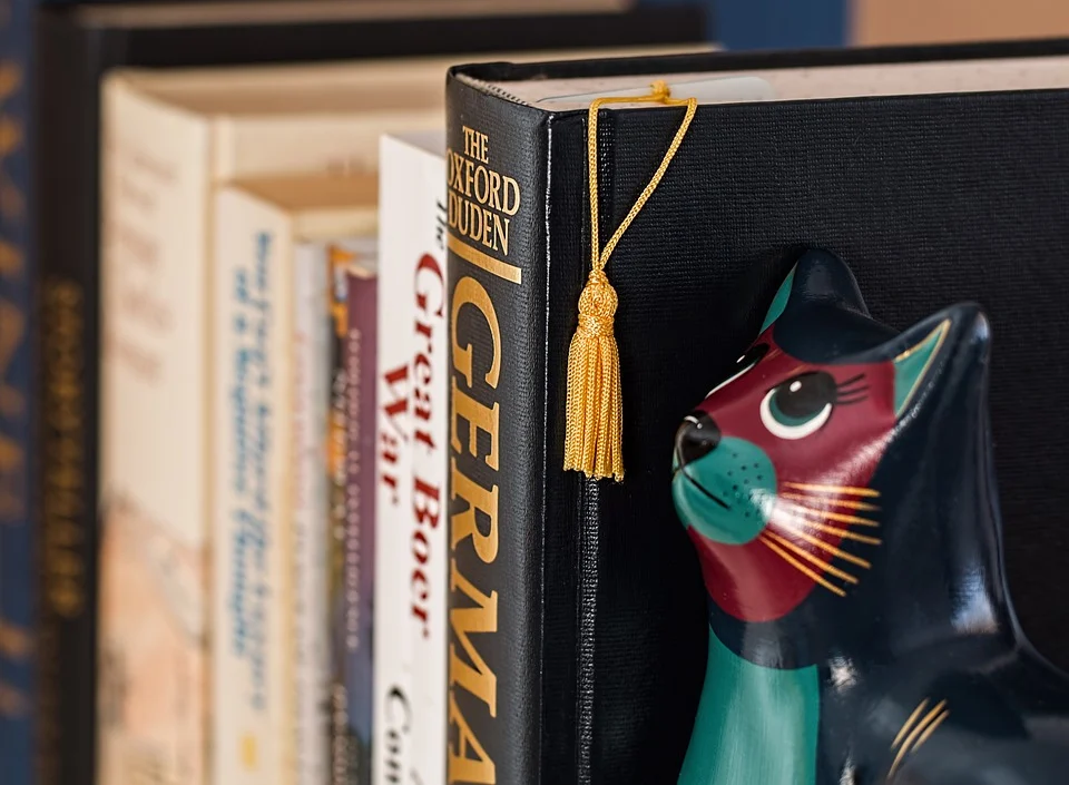 Jak zakładki do książek ze sklejki dodadzą osobistego akcentu do Twojej biblioteki