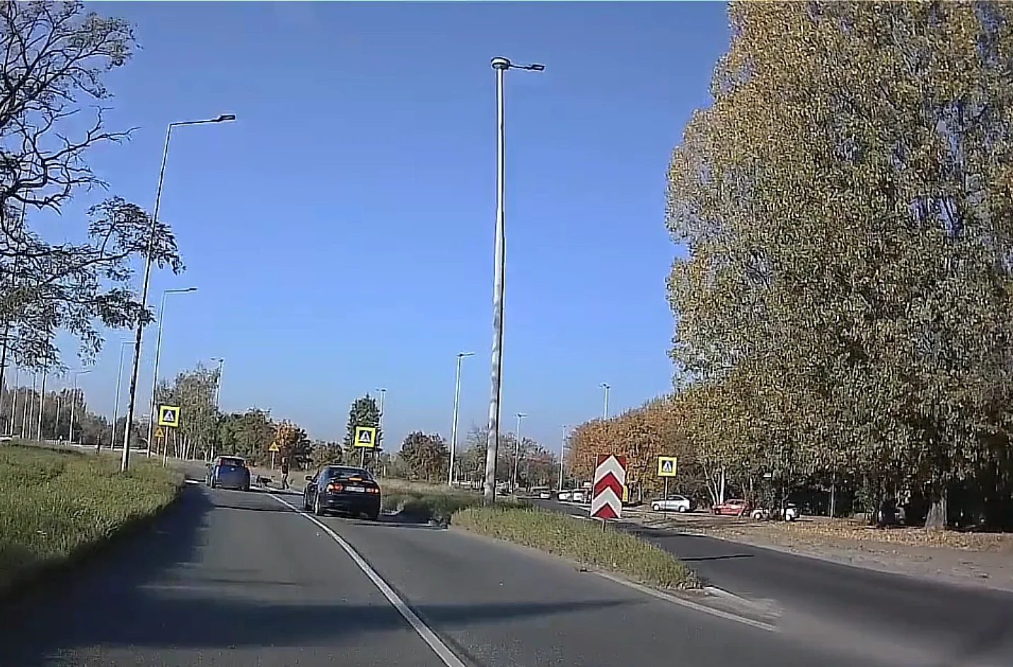 [FLM] Katowice: O włos od potrącenia pieszego i psa!