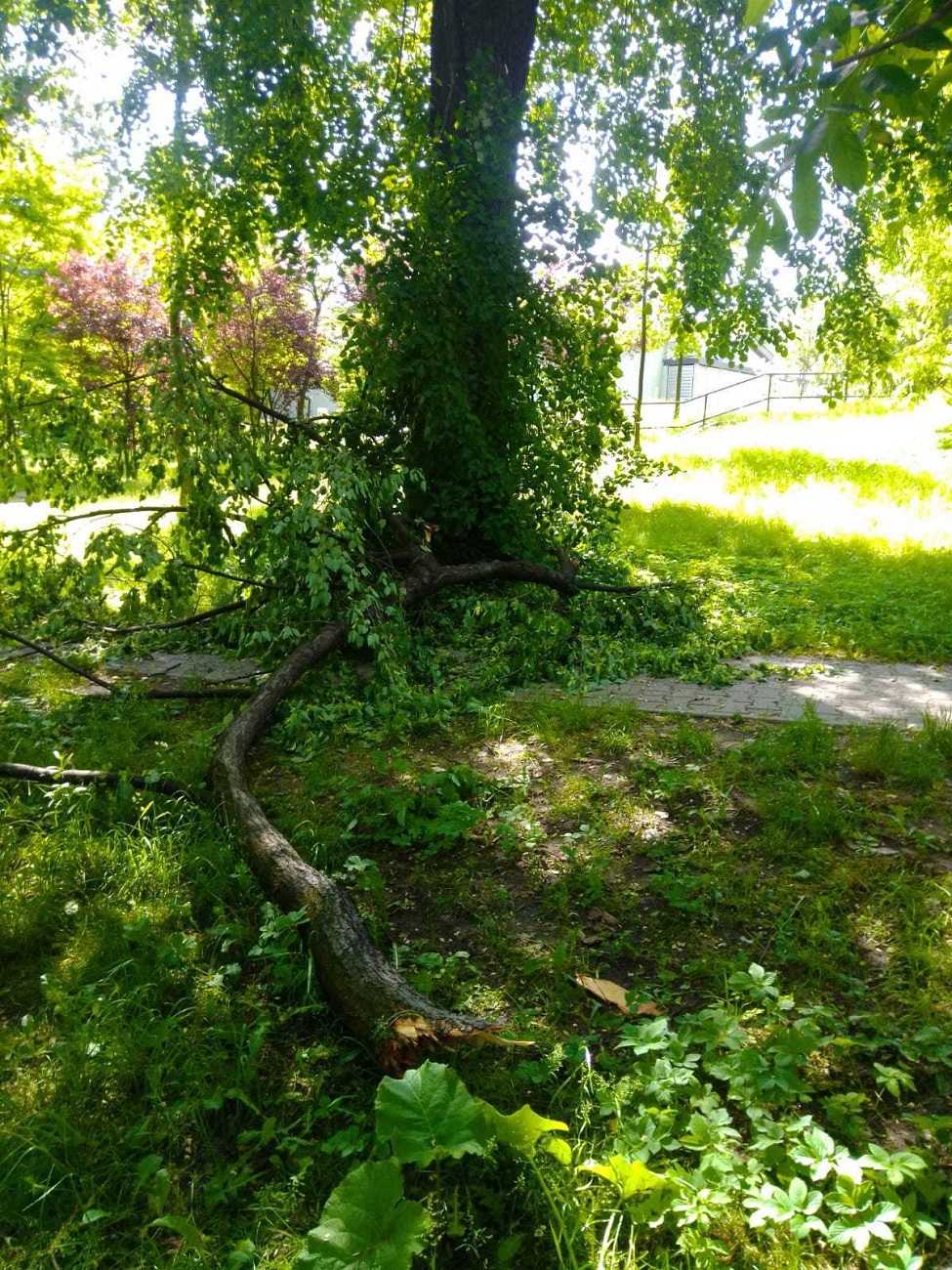 Zalane ulice i połamane drzewa to bilans piątkowej burzy i ulewnego deszczu