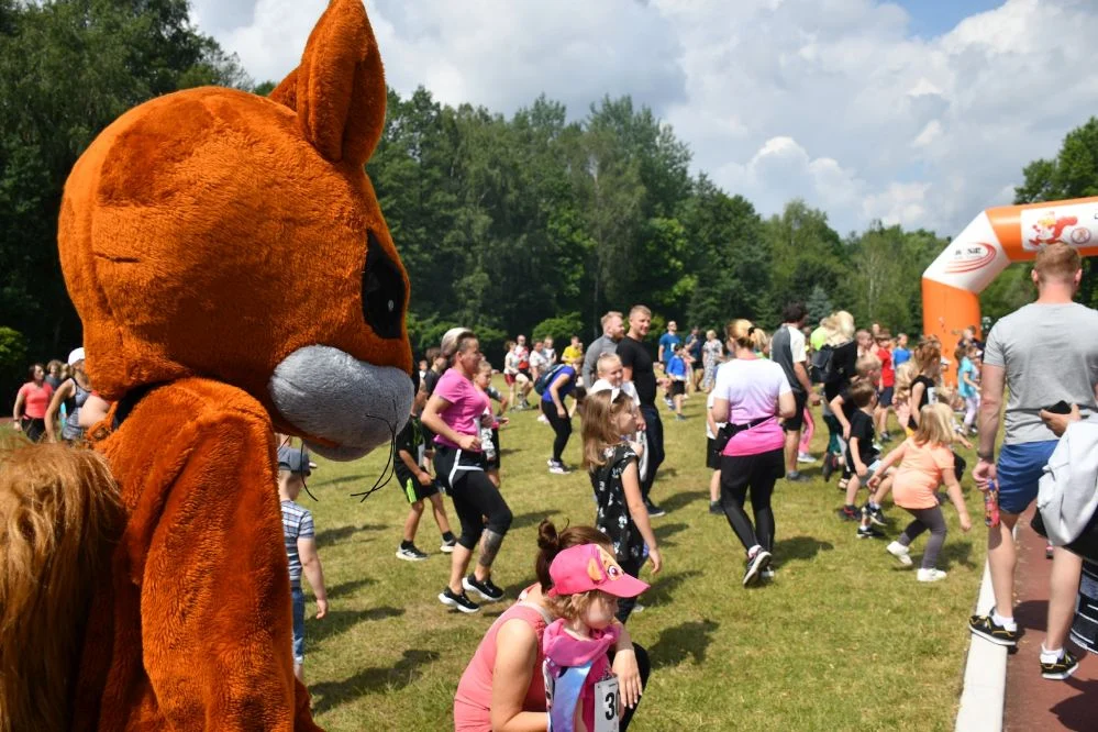 Za nami czerwcowy Bieg Wiewiórki 2023! [ZDJĘCIA]