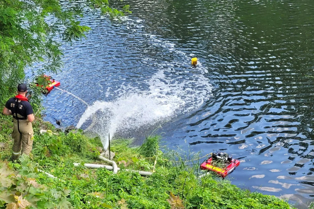 Blisko pół tony śniętych ryb w Kanale Gliwickim. Strażacy natleniają wodę. Winna „złota alga”?
