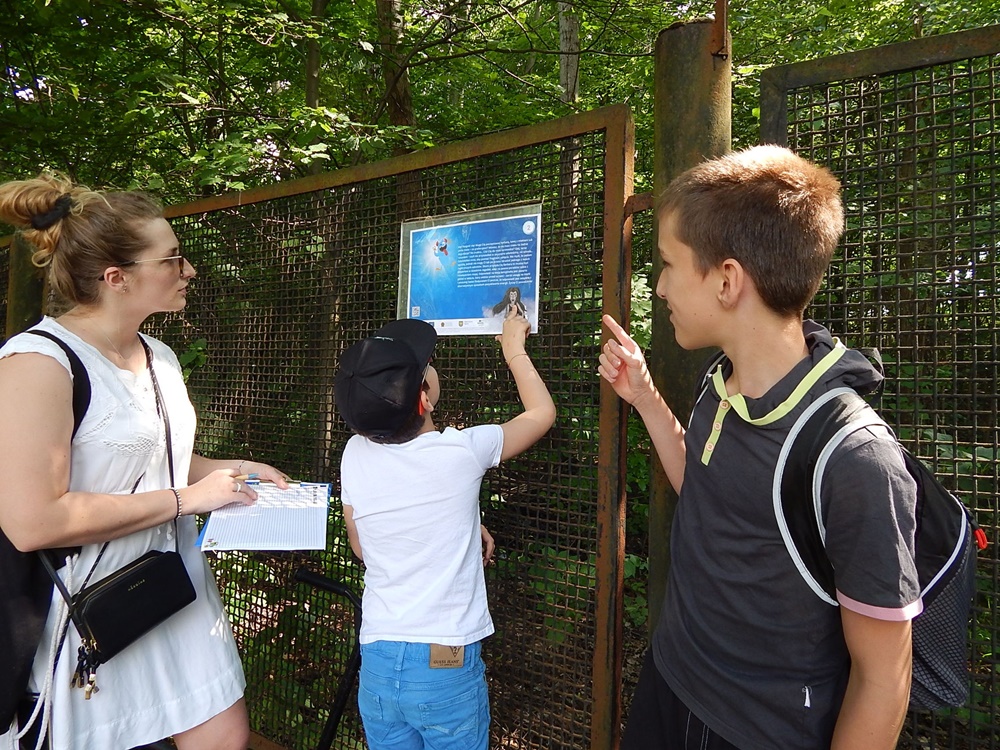Miejska gra terenowa w Łaziskach Górnych. Zobacz, co się działo!