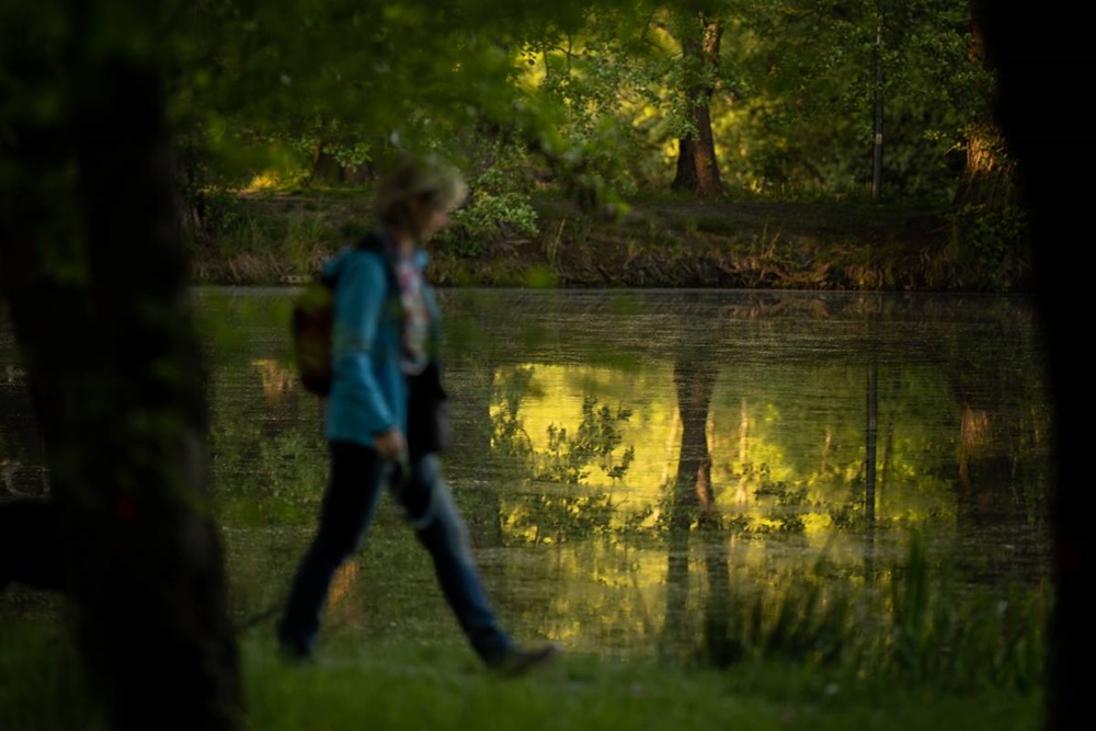 "Healthy Cities 2023". Dołącz do wyzwania w Tychach