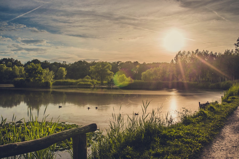 Noc Świętojańska na Rzęsie nie tylko dla seniorów. Poznaj siemianowicki program!