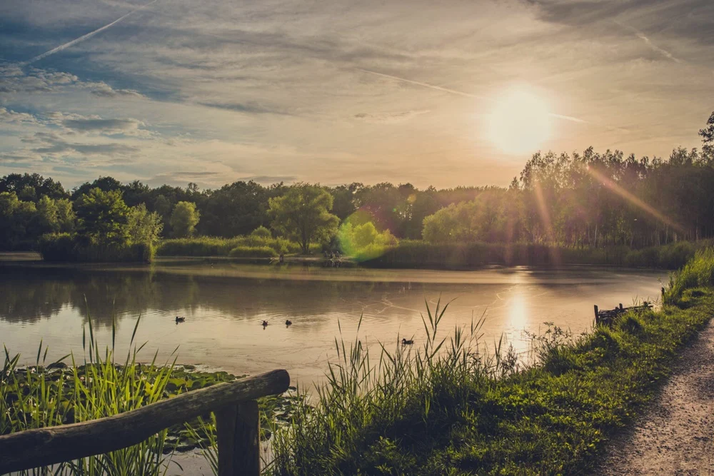 Noc Świętojańska na Rzęsie nie tylko dla seniorów. Poznaj siemianowicki program!
