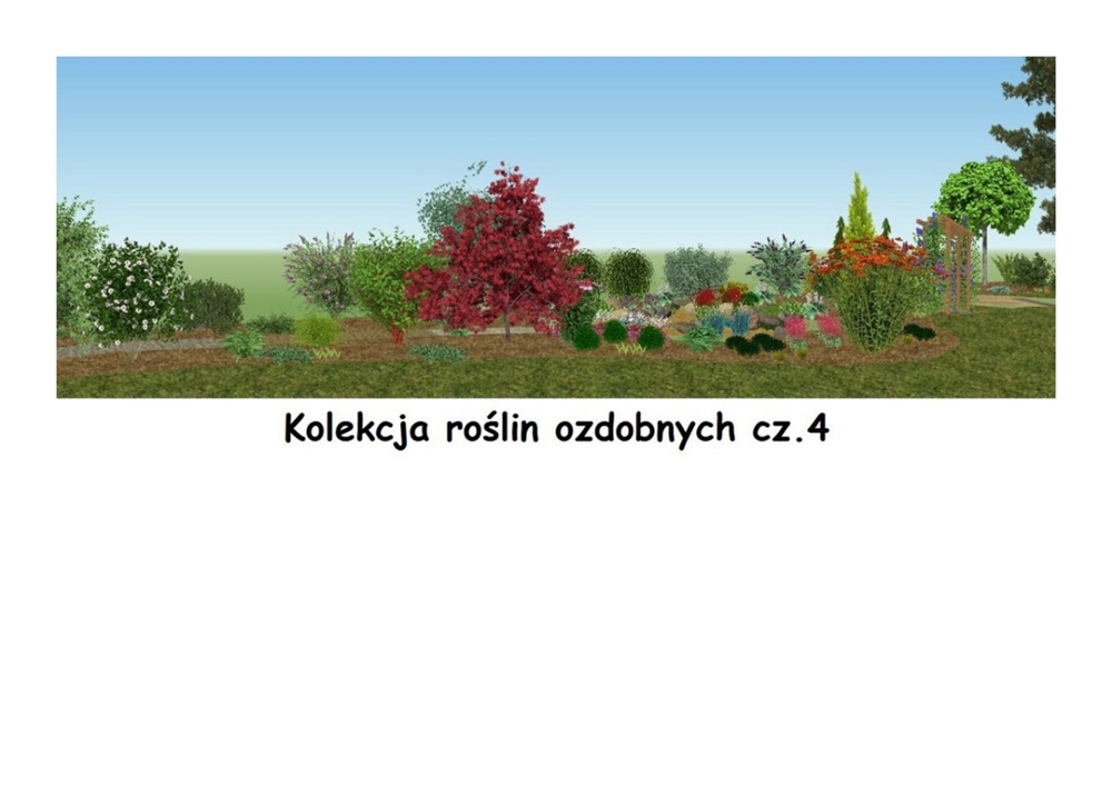 W orzeskim przedszkolu powstanie Sensoryczny Ogród Botaniczny