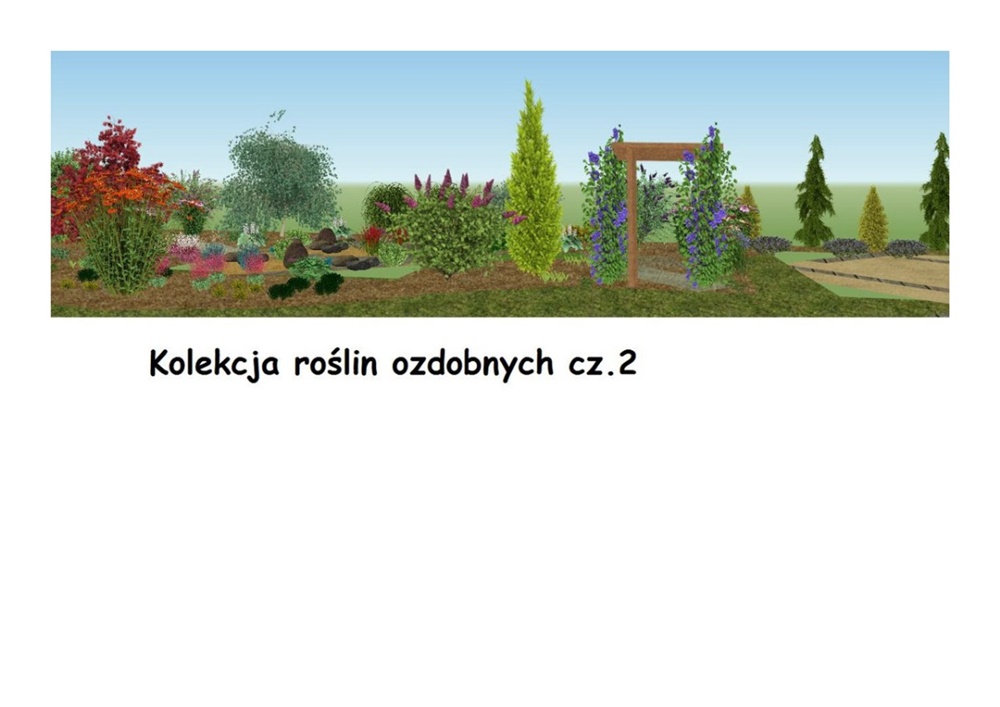 W orzeskim przedszkolu powstanie Sensoryczny Ogród Botaniczny