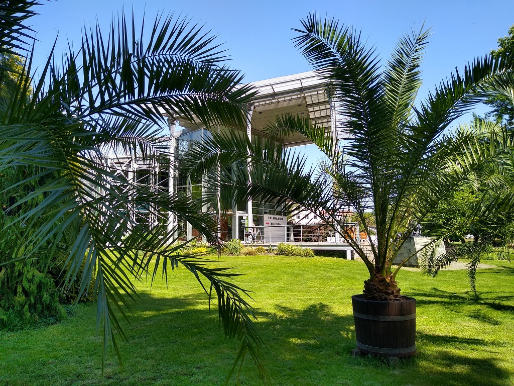 Gliwicka Palmiarnia zaprasza po przerwie