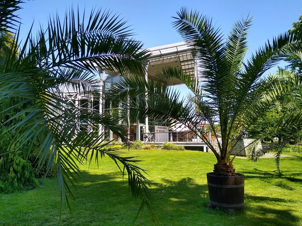 Przerwa na ważne prace w gliwickiej Palmiarni. Zobacz szczegóły!