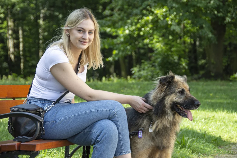 W sobotę akcja Rodzinny Spacer z Psem. Bytomskie schronisko przygotowało kolejne terminy