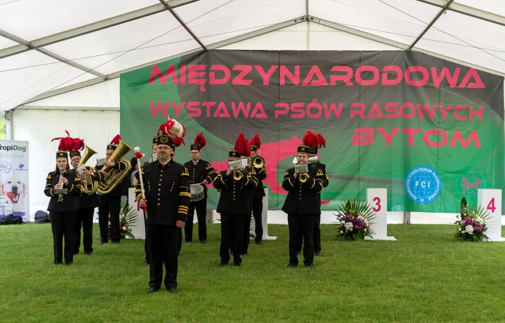 miedzynarodowa wystawa psow rasowych_bytom_ 18