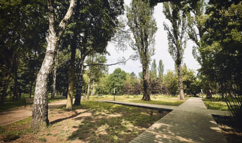 Sosnowiec powiększa ogród botaniczny