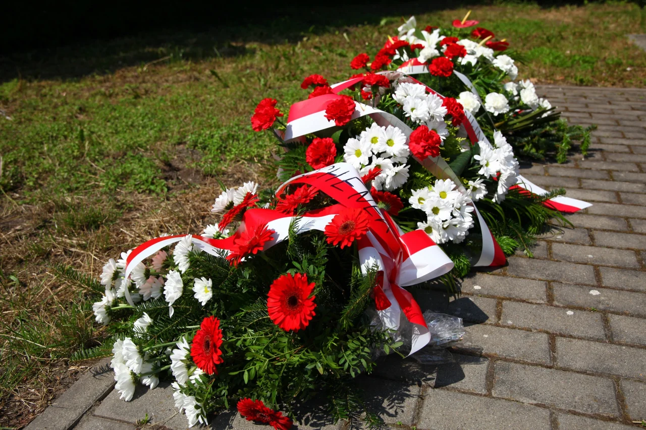 Obchody 101. rocznicy przyłączenia części Górnego Śląska do Państwa Polskiego / fot. UM Sosnowiec (Mariusz Binkiewicz) 32