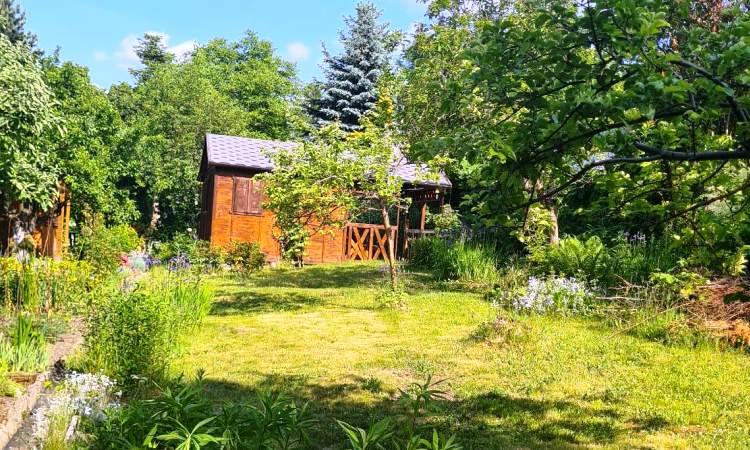 Dofinansowanie dla rodzinnych ogródków działkowych w Sosnowcu. Jaką kwotę przeznaczono?