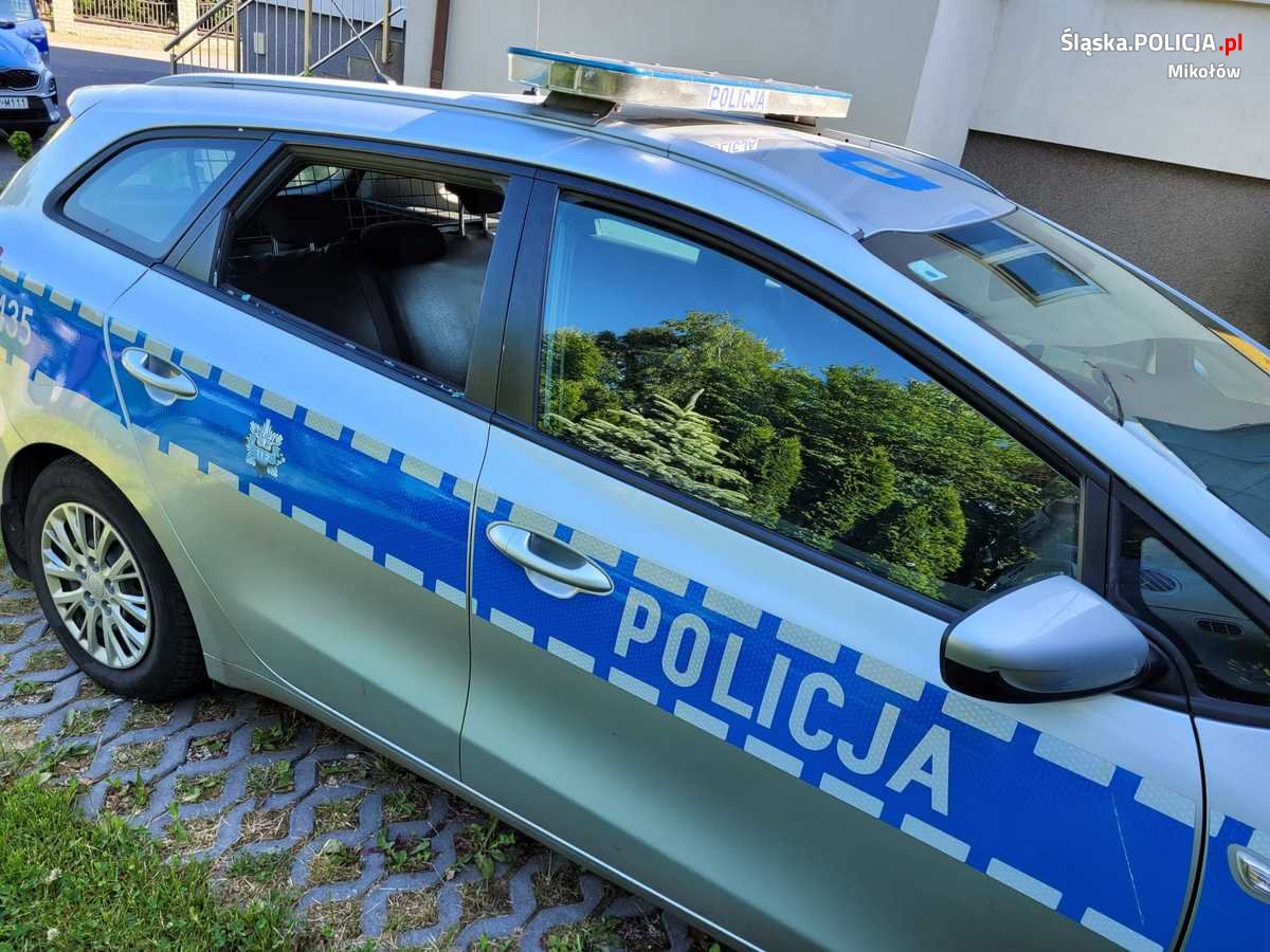 Podczas interwencji zaatakował policjantów i wybił szybę radiowozu