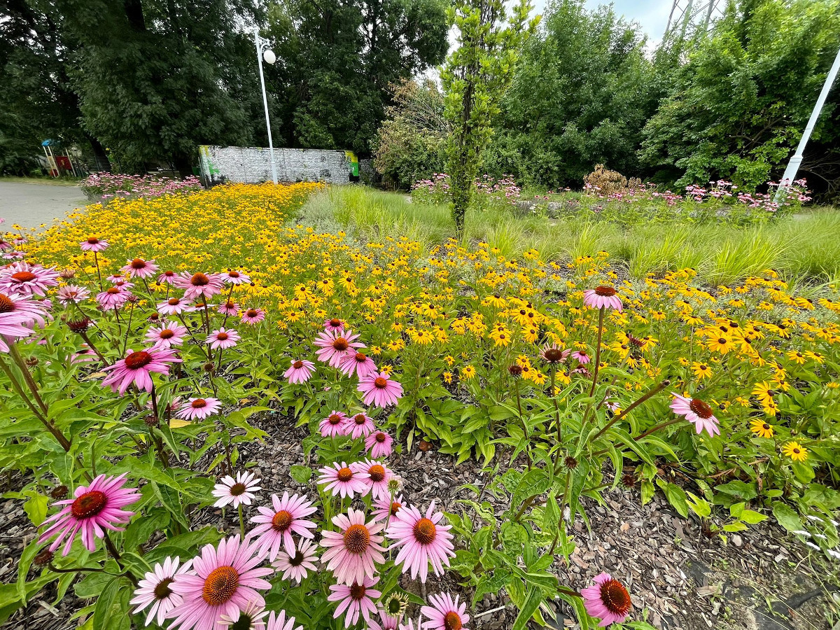 Poznaliśmy wyniki weryfikacji formalnej pomysłów do Zielonego Budżetu