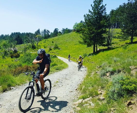 Turystyka rowerowa – gdzie mamy najlepsze szlaki rowerowe Śląsk?