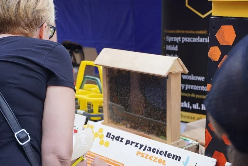 Tężnia solankowa jest już otwarta! / fot. UM Żory 35
