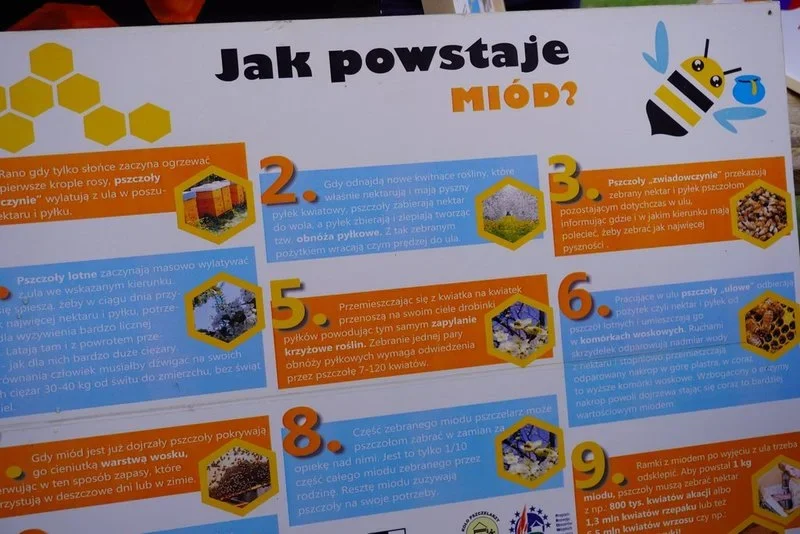 Tężnia solankowa jest już otwarta! / fot. UM Żory 36
