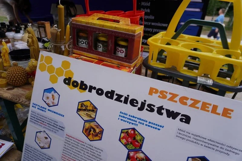 Tężnia solankowa jest już otwarta! / fot. UM Żory 37