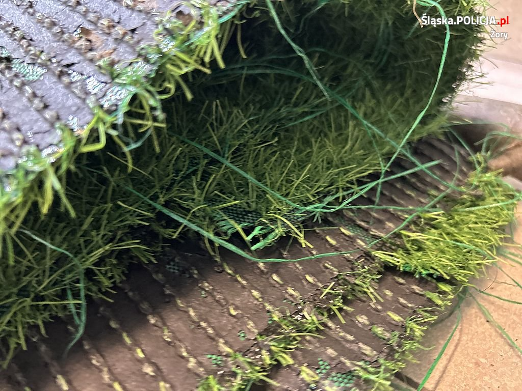 Nietypowa kradzież w Żorach. 22-latek odpowie za kradzież rolki sztucznej trawy