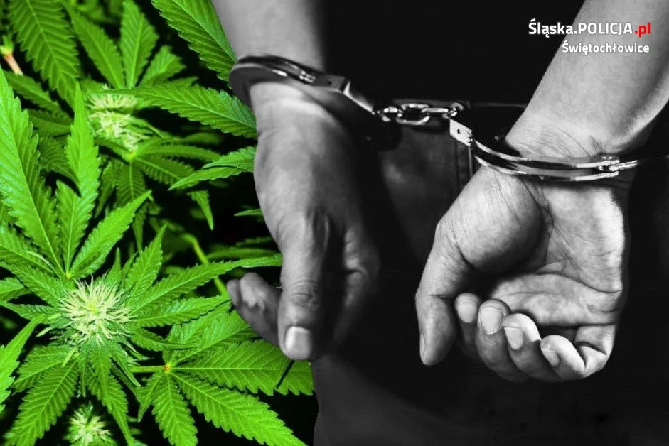 Policjanci ze Świętochłowic zatrzymali kolejne dwie osoby za posiadanie narkotyków