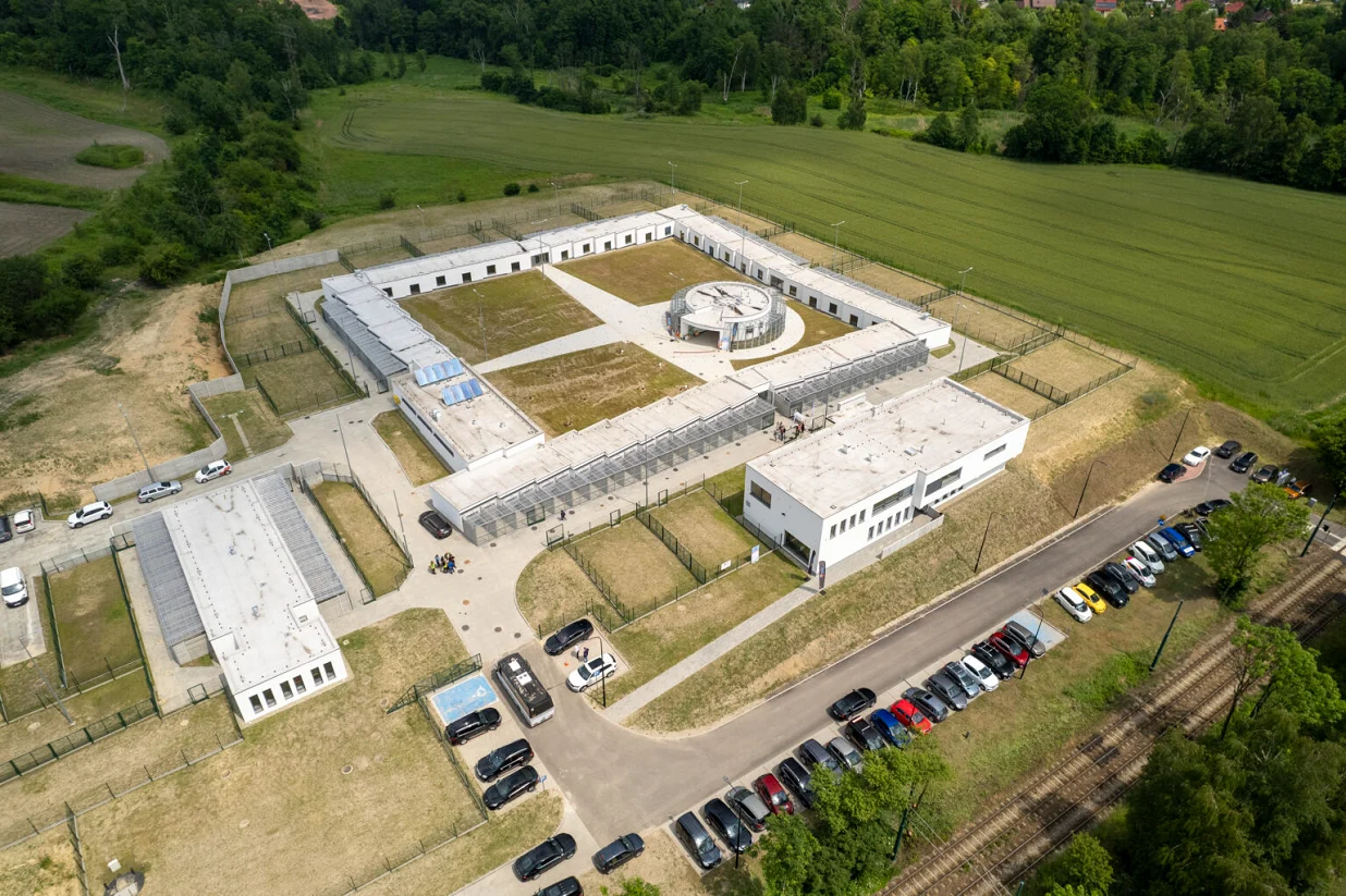 Bezdomne zwierzęta w Zabrzu mają już nowy dom! [ZDJĘCIA]