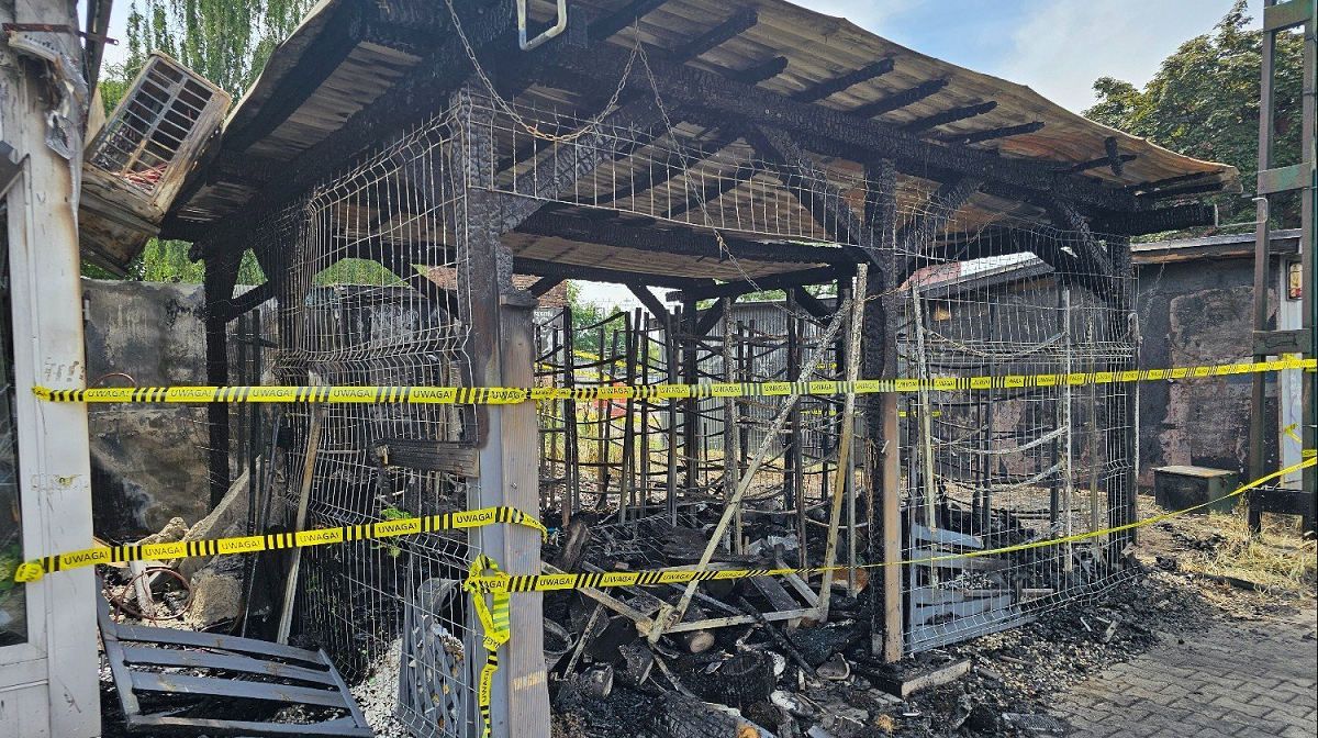 Spłonęła kwiaciarnia w Zabrzu. Straty oszacowano na 100 tys. zł!