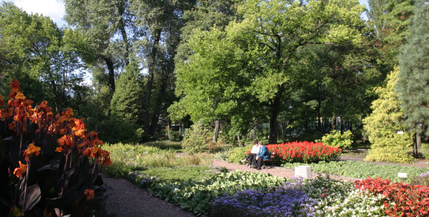Propozycje Centrum Aktywności Senioralnej na spędzenie najbliższych dni
