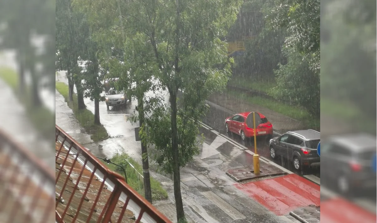 Połamane drzewa i zalane ulice. Przez Rudę Śląską przeszła burza!