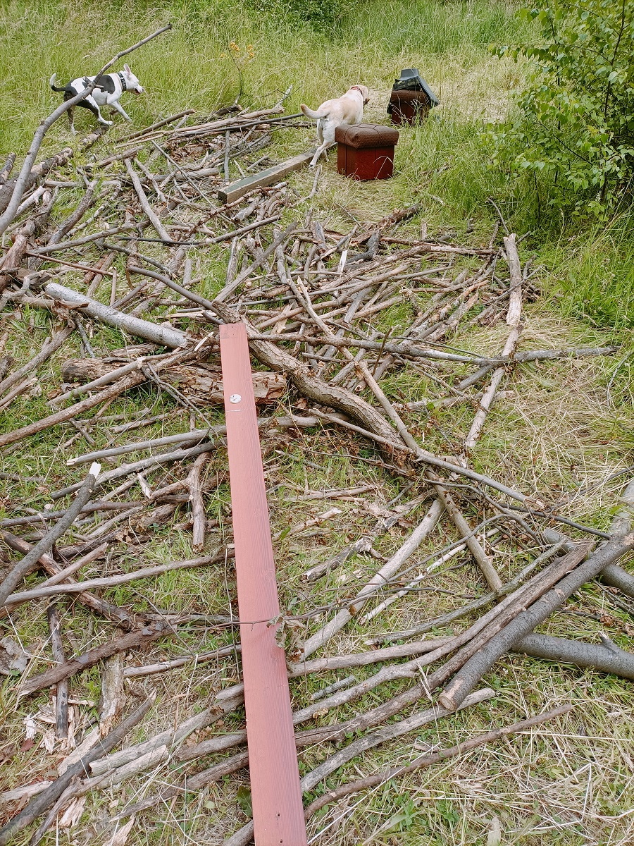 Stara wanna, panele i pufy. Powraca temat śmieci w Puszczy Kokotek