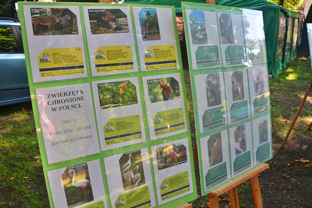 Ogród Śniadaniowy 31