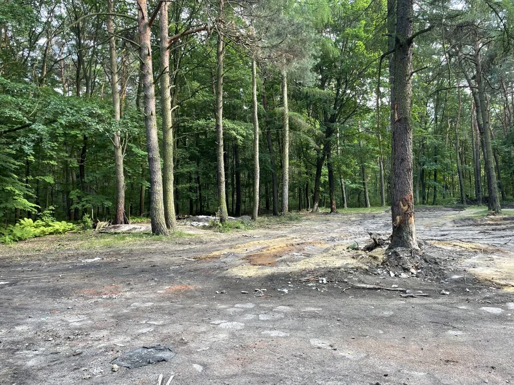 Kultowa „Borówka” zniknęła z halembskiego krajobrazu